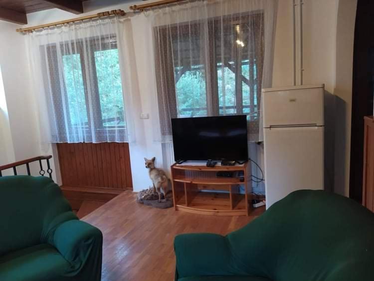 Hamvaskoi Vadaszhaz Apartment Pilismarot